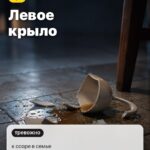 Знак 5: Левое крыло, к ссоре в семье