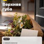 Место 1: Верхняя губа, к тайной симпатии