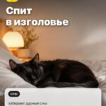 Случай 2: Спит в изголовье, забирает дурные сны