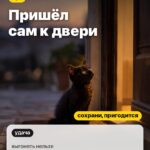 Случай 3: Пришёл сам к двери, выгонять нельзя