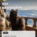 Случай 4: Кот на корабле, к удачному плаванию