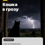 Случай 5: Кошка в грозу, а вот тут её выпускали