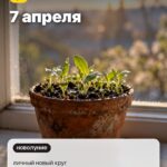 Дата 1: 7 апреля, личный новый круг