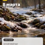 Дата 1: 8 марта, личный новый круг