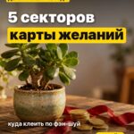 5 секторов карты желаний куда клеить по фэн-шуй