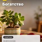 Сектор 1: Богатство, не центр и не низ