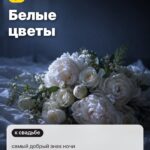 Сон 1: Белые цветы, самый добрый знак ночи