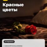 Сон 2: Красные цветы, к мимолётному роману